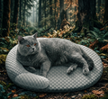 Pawlixs CoolCloud™