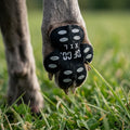 PawGrip™ Anti-Slip Pads