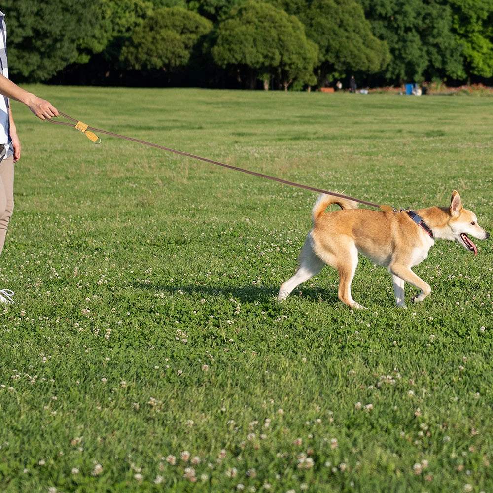 Pawlixs FreePaw™