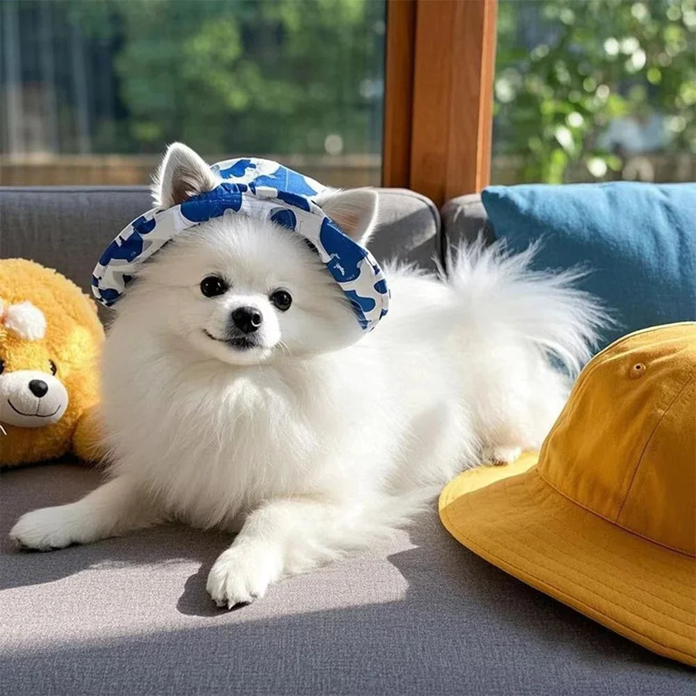 Pawlixs SunnyPaws™