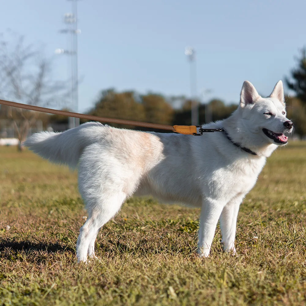 Pawlixs FreePaw™