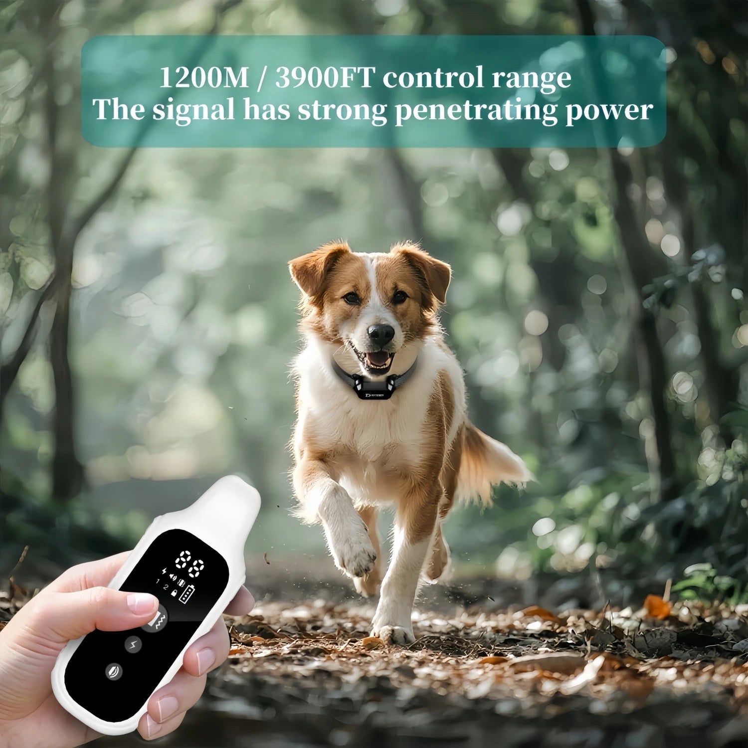 Pawlixs SmartTrain Pro