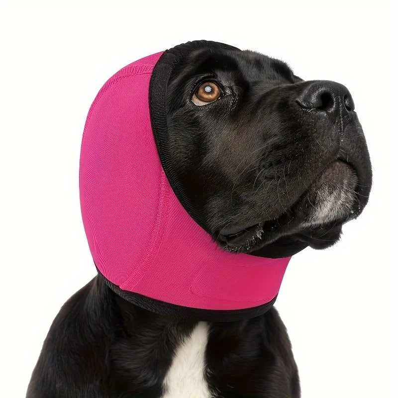 Pawlixs CozyQuiet™
