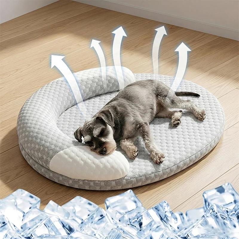 Pawlixs CoolCloud™