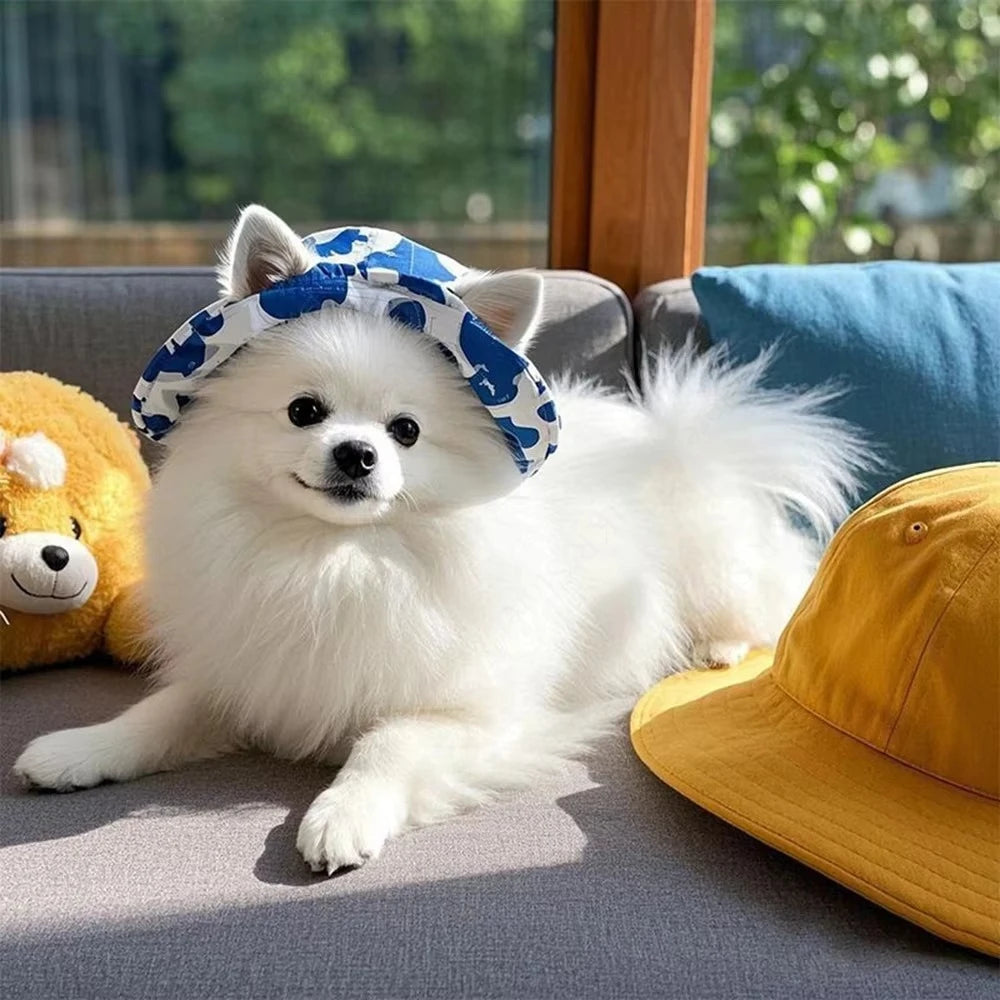 Pawlixs SunnyPaws™