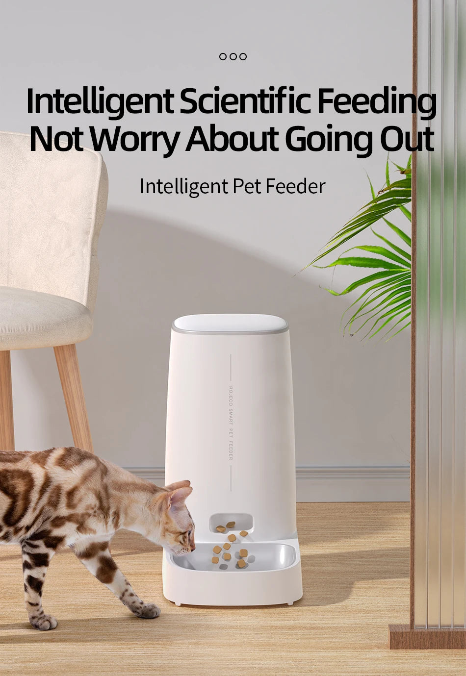 Pawlixs FeedFlow™