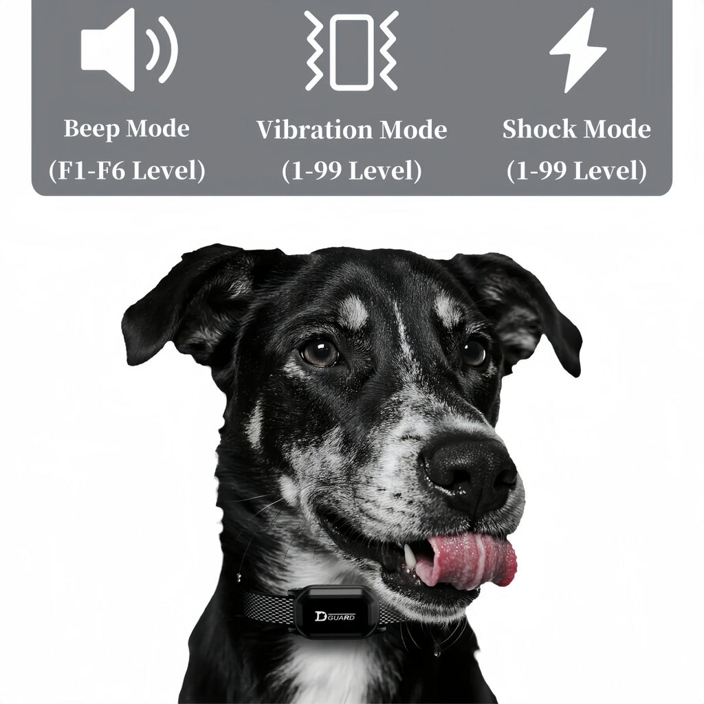 Pawlixs SmartTrain Pro