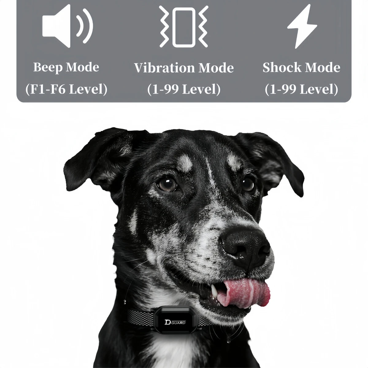 Pawlixs SmartTrain Pro