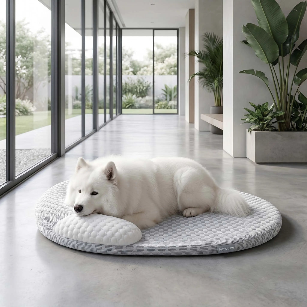 Pawlixs CoolCloud™