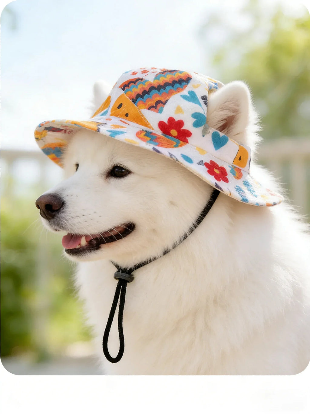Pawlixs SunnyPaws™
