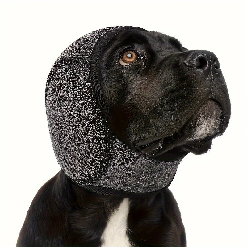 Pawlixs CozyQuiet™