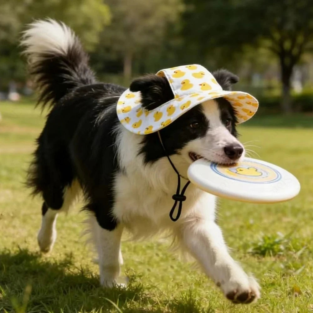 Pawlixs SunnyPaws™