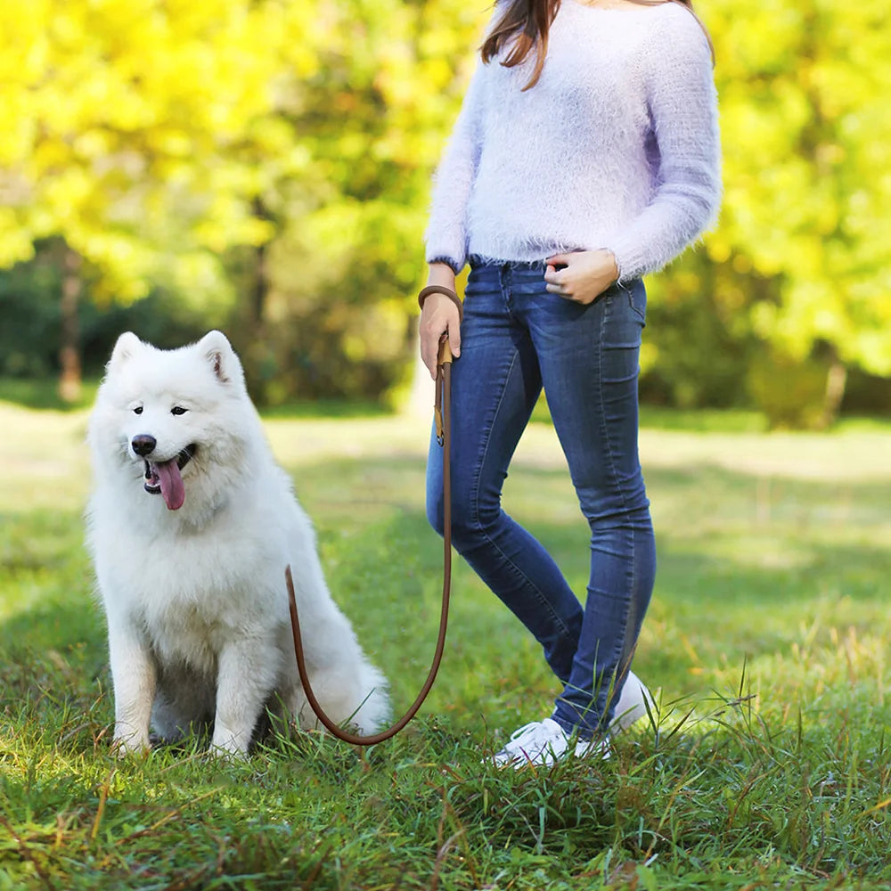 Pawlixs FreePaw™