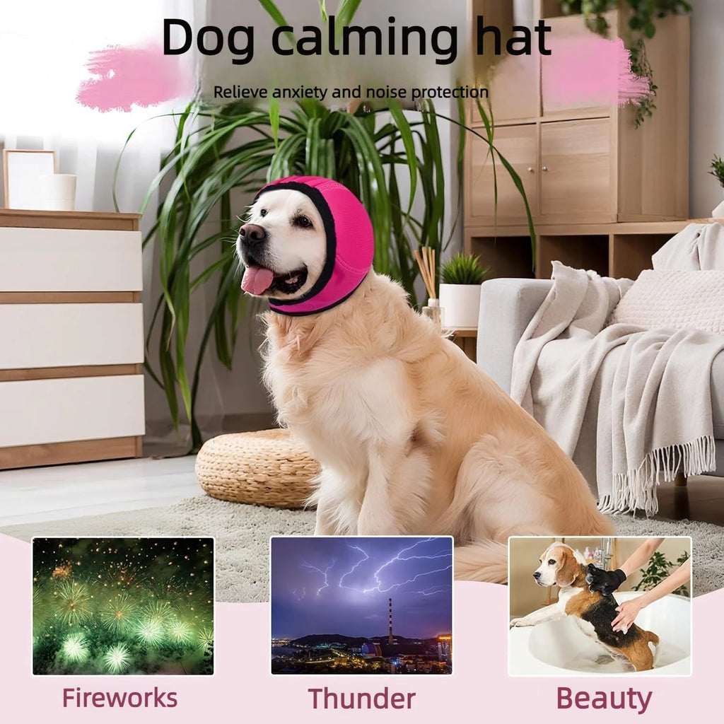 Pawlixs CozyQuiet™