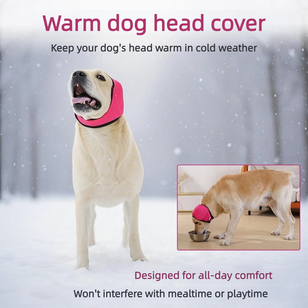 Pawlixs CozyQuiet™
