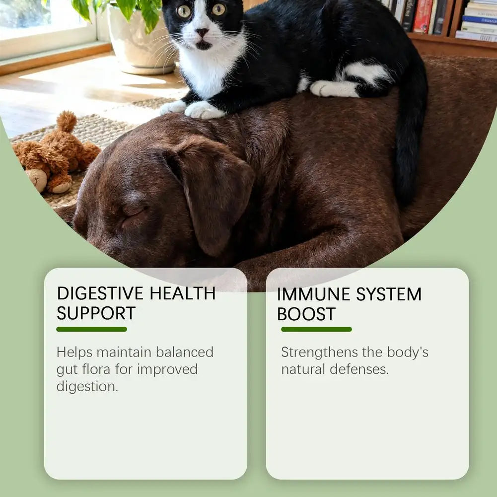 Pawlixs BellyBoost™